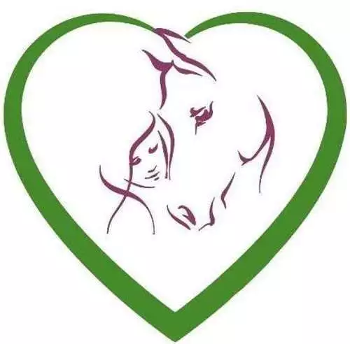 Healing Hearts And Minds logo